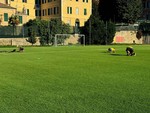 Calcio | Finale, il “Borel” comincia a cambiare pelle: cantiere in corso per il prato, poi un progetto per restituire capienza e tribune Calcio | Finale, il “Borel” comincia a cambiare pelle: cantiere in corso per il prato, poi un progetto per restituire capienza e tribune