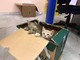 Gattini in un cassonetto a Pinasca ritrovano la famiglia