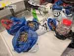 Pesce in valigia dalla Cina: a Malpensa sequestrati 400 chili di prodotti ittici illegali Pesce in valigia dalla Cina: a Malpensa sequestrati 400 chili di prodotti ittici illegali