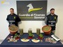 Arrestato pusher 47enne: in casa oltre 3 kg di marijuana e una coltivazione di piantine. Riforniva la piazza di Savona