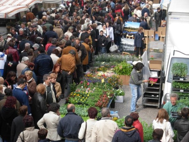 EVENTI / Cuneo in fiore e Monfleur a Mondovì riempiono di profumi e colori la domenica in Granda