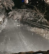 Neve e disagi sulla Granda: alberi caduti, strade chiuse, allagamenti e traffico ferroviario in tilt Neve e disagi sulla Granda: alberi caduti, strade chiuse, allagamenti e traffico ferroviario in tilt