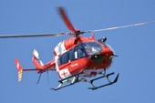 Cade mentre pota le piante: grave un uomo in Canton Ticino