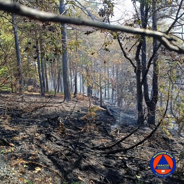 Sassello, incendio boschivo in località Chiapuzzo: bonifica in corso (FOTO) Sassello, incendio boschivo in località Chiapuzzo: bonifica in corso (FOTO)