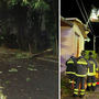 Il maltempo colpisce il Varesotto: blackout, allagamenti, alberi sradicati