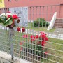 Omicidio di Piazza delle Nazioni, il Pm chiede 4 anni per Francesco Morabito per concorso in cessione dell'arma clandestina