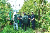 Caporalato, maxi controlli nei campi del Cuneese: metà delle aziende irregolari