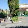 Omicidio di via Hope a Sanremo, la lite, le telecamere e i graffi sul corpo: così le indagini si sono concentrate sul figlio di Lorella Capano Omicidio di via Hope a Sanremo, la lite, le telecamere e i graffi sul corpo: così le indagini si sono concentrate sul figlio di Lorella Capano