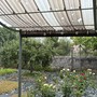 Break alla morsa del caldo: su Torino arriva la pioggia, ma si contano anche i danni [FOTO]