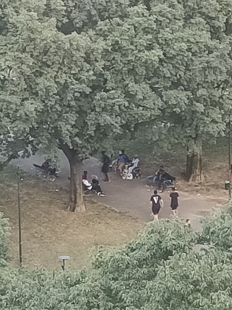 Droga e degrado, un'altra voce da Torino Sud: "I giardini di corso Caio Plinio ormai sono terra di spacciatori" Droga e degrado, un'altra voce da Torino Sud: "I giardini di corso Caio Plinio ormai sono terra di spacciatori"