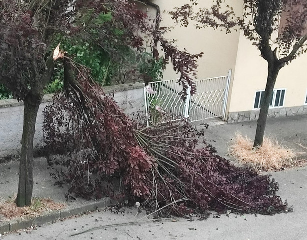 Ancora in corso interventi dei vigili del fuoco di Asti per il maltempo di ieri
