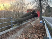 Carcare, albero crolla lungo la Sp 29 a Vispa: paura ma nessun ferito Carcare, albero crolla lungo la Sp 29 a Vispa: paura ma nessun ferito