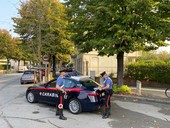 Se ne va a bordo dell’auto da restaurare, titolare dell’officina si butta nell’abitacolo e lo ferisce nel tentativo di fermarlo