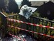 Oregina: distrutta la targa dedicata a Norma Cossetto, tensione tra Casapound e antifascisti Oregina: distrutta la targa dedicata a Norma Cossetto, tensione tra Casapound e antifascisti