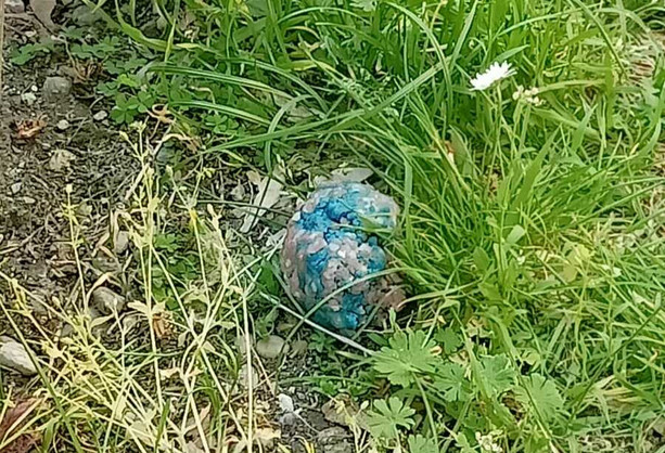 Allarme bocconi avvelenati: esche killer nei giardini di Mirafiori [FOTO]