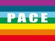 Diverse anime in strada a Pinerolo per una fiaccolata per la pace Diverse anime in strada a Pinerolo per una fiaccolata per la pace
