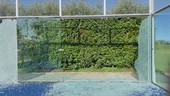 Savigliano, gravi danni al centro La Sirenetta Padel Academy: sette vetrate distrutte, presentata denuncia ai Carabinieri