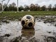 Calcio | Il maltempo incombe sul week end, potrebbero scattare i primi rinvii automatici