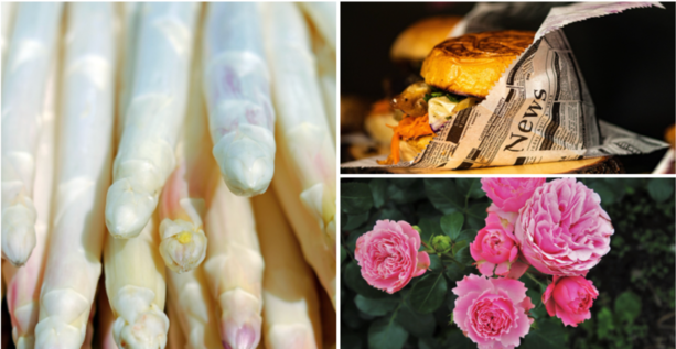 A SPASSO NEL WEEKEND. Una provincia baciata dal sole propone mille eventi: prosegue la Fiera dell'Asparago di Cantello, street food a Gavirate e Festa delle Rose a Induno