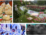 A SPASSO NEL WEEKEND. Fiera dell'Asparago, Varese Beer Festival, Musi di Varese, Festa delle Rose, un grande concerto gospel al Lyceum e non solo: boom di caldo ed eventi