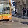 VIDEO. Varese, incredibile in via Morosini: uomo si sdraia davanti al bus in pieno centro VIDEO. Varese, incredibile in via Morosini: uomo si sdraia davanti al bus in pieno centro