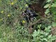 Tragedia a Celle Ligure, auto esce di strada e si ribalta: due morti (FOTO)