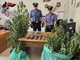 Cappelli vistosi, liti tra vicini, cocaina nei calzini e tra le gomme da masticare: cinque arresti insoliti per droga Cappelli vistosi, liti tra vicini, cocaina nei calzini e tra le gomme da masticare: cinque arresti insoliti per droga