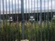 Niente pista ghiaccio provvisoria all'antistadio e niente paddle: saltano tutte le prosposte Niente pista ghiaccio provvisoria all'antistadio e niente paddle: saltano tutte le prosposte