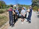 Dego, i cani di Carpezzo tornano a casa: 14 riconsegnati al proprietario, 3 restano all'Asl (FOTO e VIDEO) Dego, i cani di Carpezzo tornano a casa: 14 riconsegnati al proprietario, 3 restano all'Asl (FOTO e VIDEO)