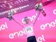 Giro d'Italia: la Novara-Fossano regala spettacolo, Merlier trionfa in viale Regina Elena [FOTOGALLERY]
