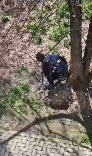 Il giardino trasformato in wc dagli spacciatori: "Siamo invasi dalle mosche verdi"