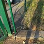 Nuovo furto alla Cittadella Nida di Falchera: "Di giorno costruiamo, di notte ci rubano tutto" Nuovo furto alla Cittadella Nida di Falchera: "Di giorno costruiamo, di notte ci rubano tutto"