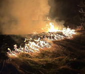 Incendio boschivo a Urbe, situazione sotto controllo (FOTO)