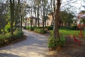 Schianto notturno al parco Monte Rainero, pino crolla su un'area giochi Schianto notturno al parco Monte Rainero, pino crolla su un'area giochi
