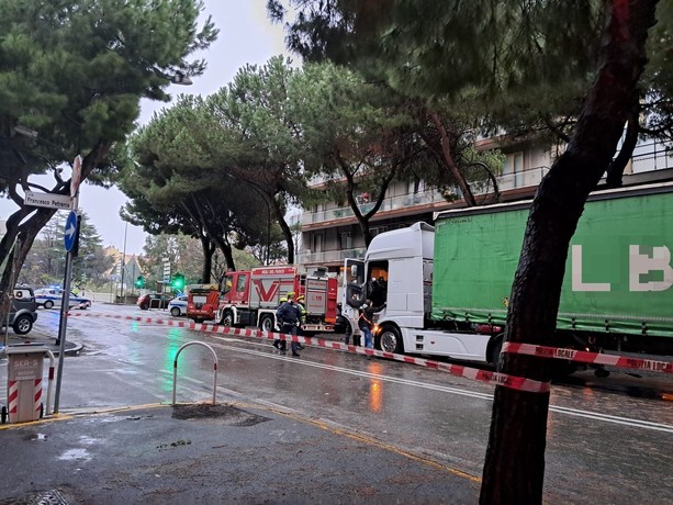 Tragedia in Corso Tardy & Benech, la polizia locale ricerca testimoni: "Ogni informazione è gradita per la ricostruzione della dinamica dell'incidente" Tragedia in Corso Tardy & Benech, la polizia locale ricerca testimoni: "Ogni informazione è gradita per la ricostruzione della dinamica dell'incidente"