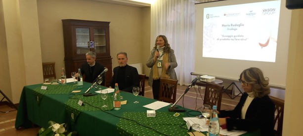 Il vino tra tradizione e innovazione: le sfide del mercato del dealcolato [FOTO]