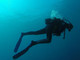 Tragedia alle Maldive, muore un sub della Guardia Costiera durante le ricerche degli italiani dispersi