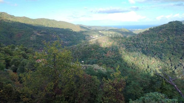 Quiliano, coppia dispersa nei boschi: scattano le ricerche. L'uomo avrebbe avuto un malore