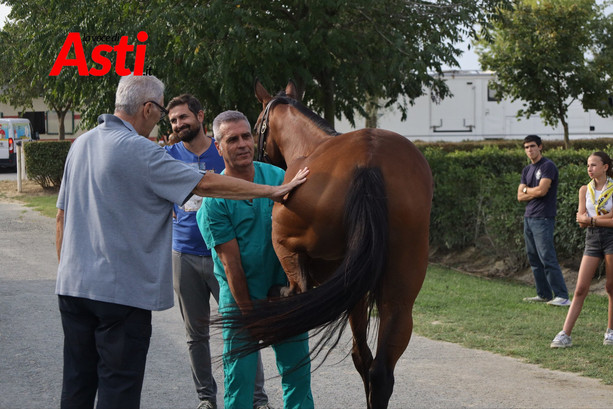 Palio, tutti promossi alla prima sessione delle visite veterinarie [GALLERIA FOTOGRAFICA]