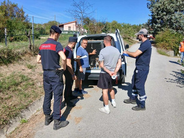 Dego, i cani di Carpezzo tornano a casa: 14 riconsegnati al proprietario, 3 restano all'Asl (FOTO e VIDEO) Dego, i cani di Carpezzo tornano a casa: 14 riconsegnati al proprietario, 3 restano all'Asl (FOTO e VIDEO)