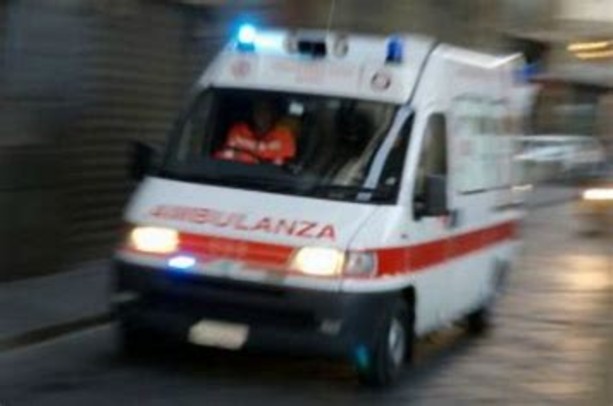 Revigliasco: operaio perde la vita travolto da un tronco Revigliasco: operaio perde la vita travolto da un tronco