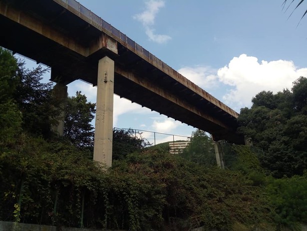 Ponti e impalcati, aggiornata la stima: servono 1,8 miliardi per la messa in sicurezza Ponti e impalcati, aggiornata la stima: servono 1,8 miliardi per la messa in sicurezza