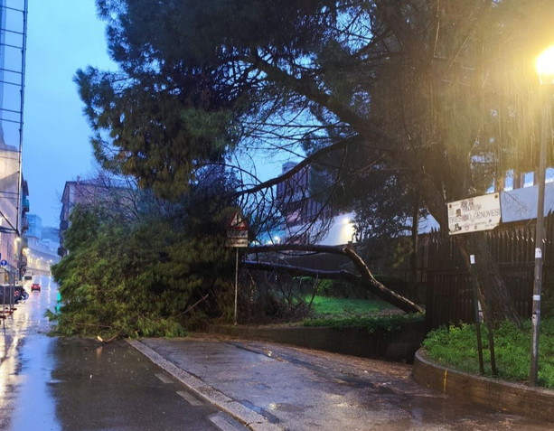 Pioggia e vento sulla Liguria. A Genova alberi abbattuti e strade bloccate