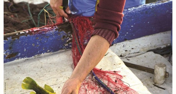 Cannes, viaggio tra arte e memoria: dalle origini marinare ai miti del femminile Cannes, viaggio tra arte e memoria: dalle origini marinare ai miti del femminile