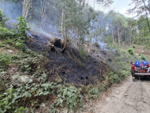 Denunciato volontario Aib: è ritenuto responsabile di nove incendi boschivi dolosi appiccati tra Monregalese e Valle Pesio Denunciato volontario Aib: è ritenuto responsabile di nove incendi boschivi dolosi appiccati tra Monregalese e Valle Pesio