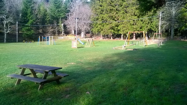 Bus fantasma tra Sanremo e San Romolo: utenti al gelo e servizio a intermittenza, cresce la protesta dei residenti