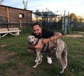 Guardie zoofile in città, l’iniziativa si estende anche alla Circoscrizione 7?