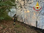 VIDEO. Incendio nei boschi sopra Arolo di Leggiuno forse causato da un fulmine VIDEO. Incendio nei boschi sopra Arolo di Leggiuno forse causato da un fulmine