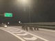 Castagnito, cinghiali causano doppio incidente in autostrada: coinvolte tre auto e un furgone Castagnito, cinghiali causano doppio incidente in autostrada: coinvolte tre auto e un furgone