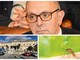 Dengue a Sanremo, il primario Cenderello: "Nessun allarme, è soprattutto un caso di interesse epidemiologico" Dengue a Sanremo, il primario Cenderello: "Nessun allarme, è soprattutto un caso di interesse epidemiologico"